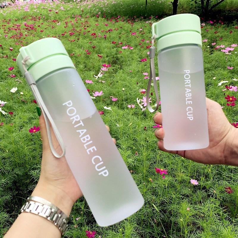 Private Label Eco-Friendly 600ml 800ml BPA FREE Big Capacity Frosted Drinking Water Bottle for Sports