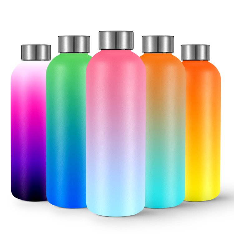 Everich stainless Steel Vacuum Insulated Drinking Flask Sports Water Bottle Travel Water Bottle