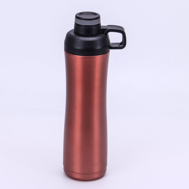 Large Capacity 750ml Double Wall Stainless Steel Vacuum Insulated Water Bottle Travel Bottle with Handle and Lid