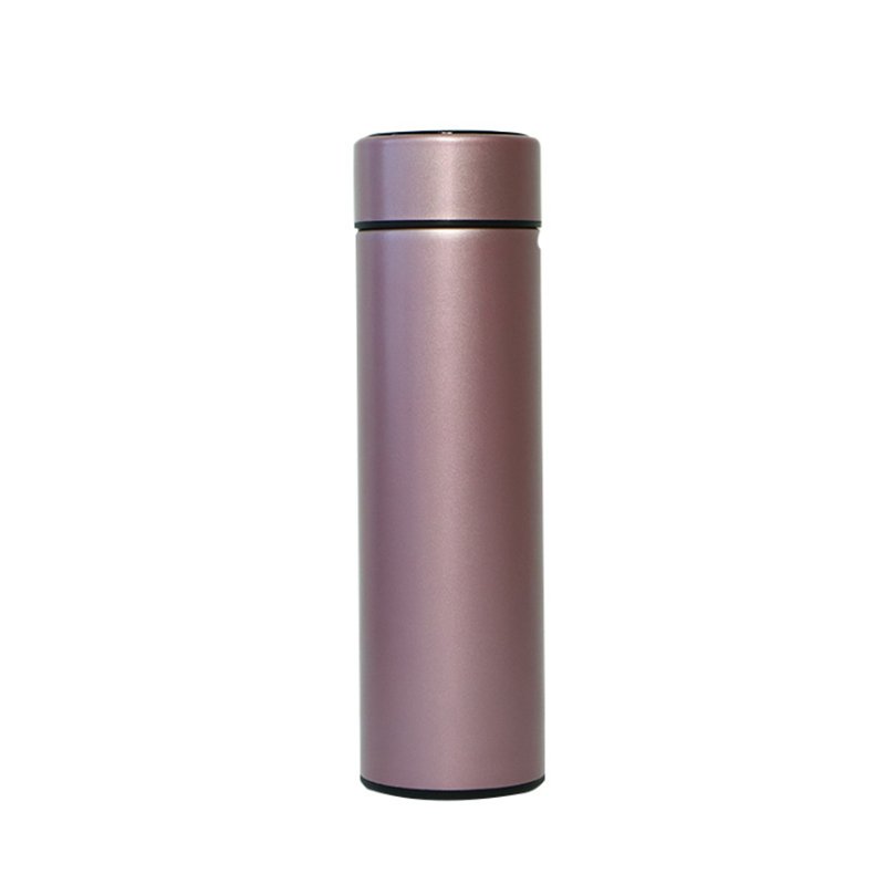 Manufacturer Provide Double Wall Stainless Steel Smart Water Bottle Vacuum Insulated Water Bottle Thermos Cups