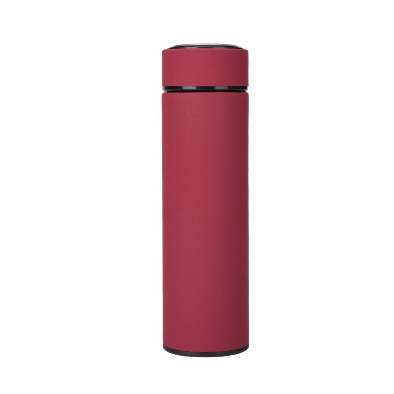 Stainless Steel Tea Strainer Infuser Vacuum Flasks Loose Leaf Tea Infuser with Strainer Thermos Tumbler,Tea Water Bottle 18OZ