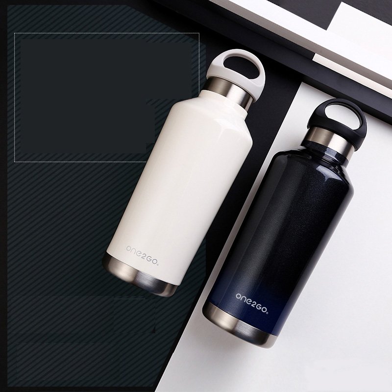 17oz Double Wall 304 18/8 Stainless Steel Vacuum Insulated Water Bottle Outdoor Sports Flask