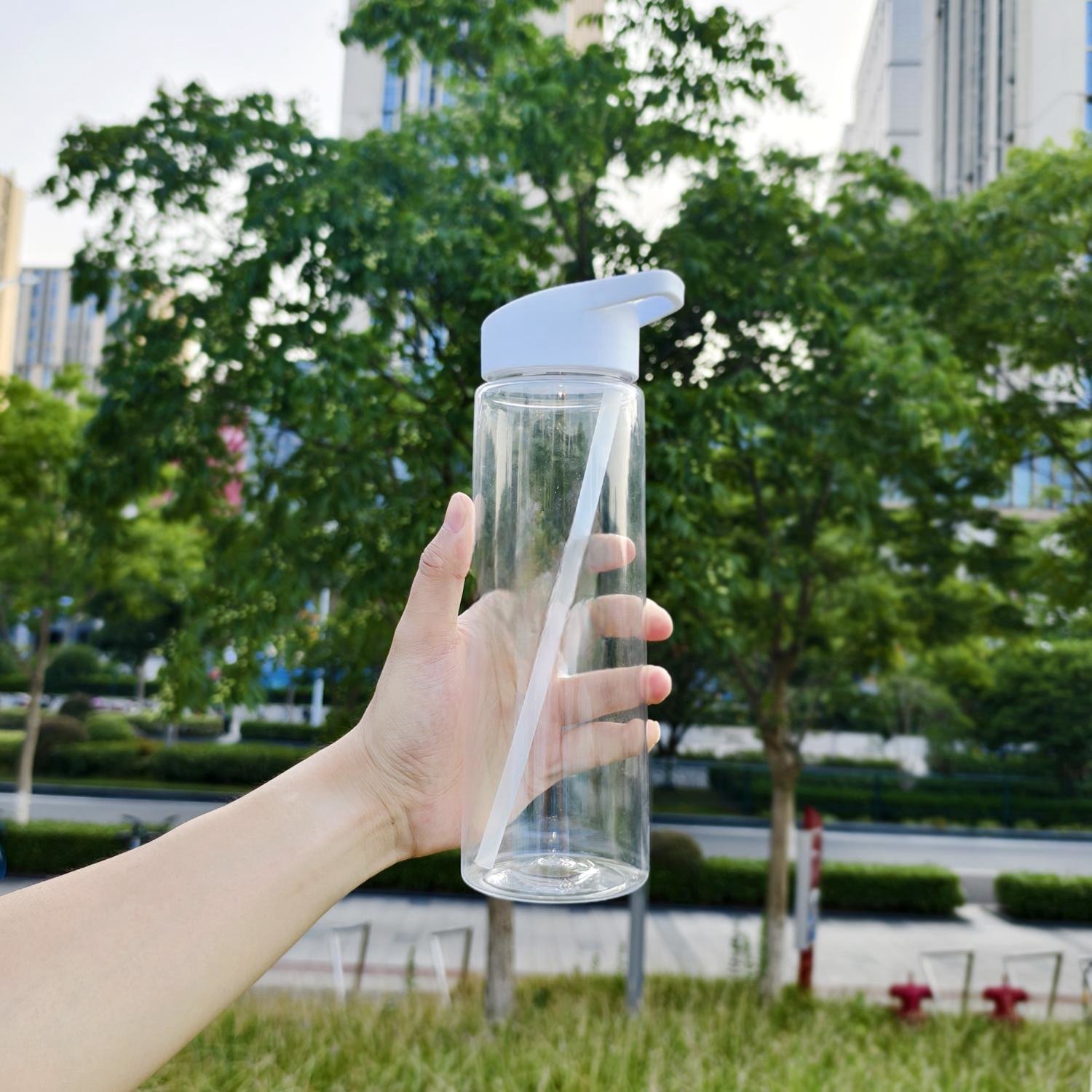 Portable water bottle 750ml Sport Wholesale Clear Plastic Wholesale AS Material Plastic water bottle With Flip Straw Bpa Free