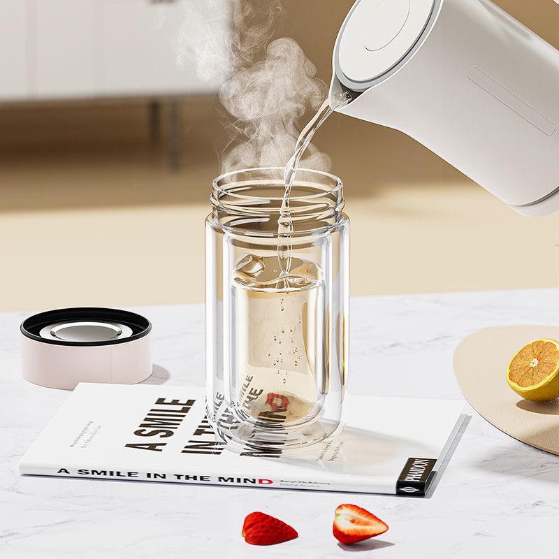 Customized Double Wall Glass Water Bottle Tea and Water Separation Tea Bottle Mug Cup with Tea Infuser