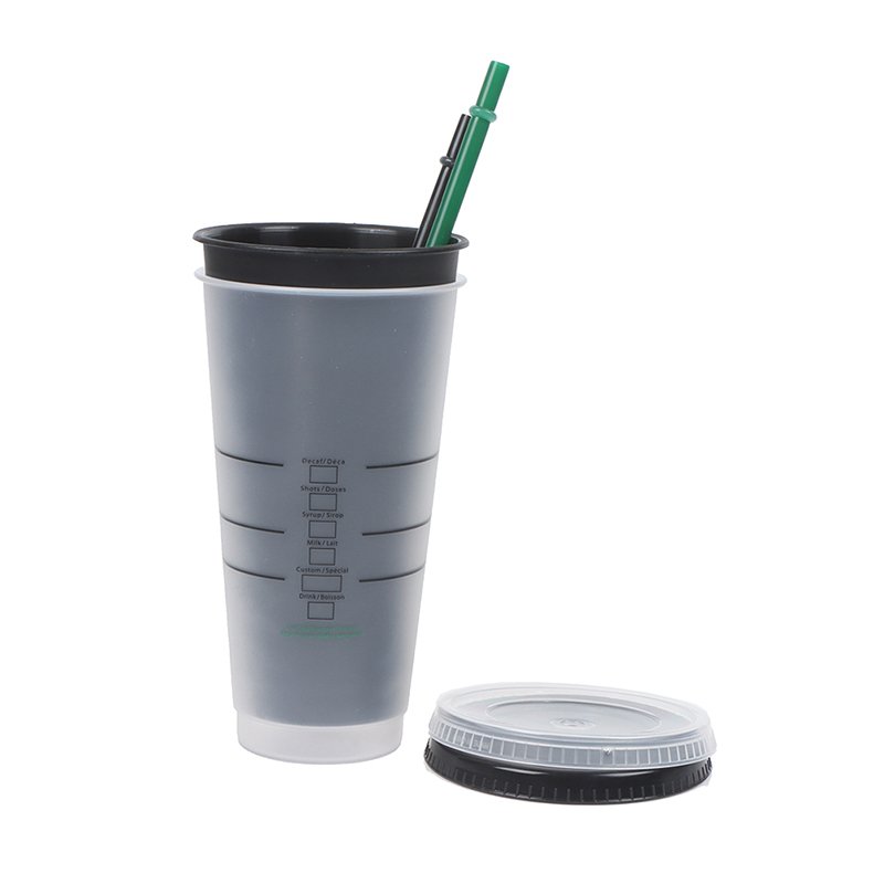 Straw Cup Drink Change Color Straw Mugs with Lid Plastic Tumbler Matte Bottle Cup Food Grade PP Plastic with Straw