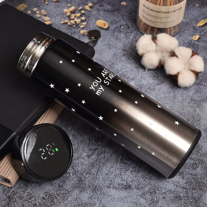 Metal Intelligent Termos 500ml 17oz Stainless Steel Smart Thermos Led Water Bottles Coffee Mugs Tumbler Cups Display Lid