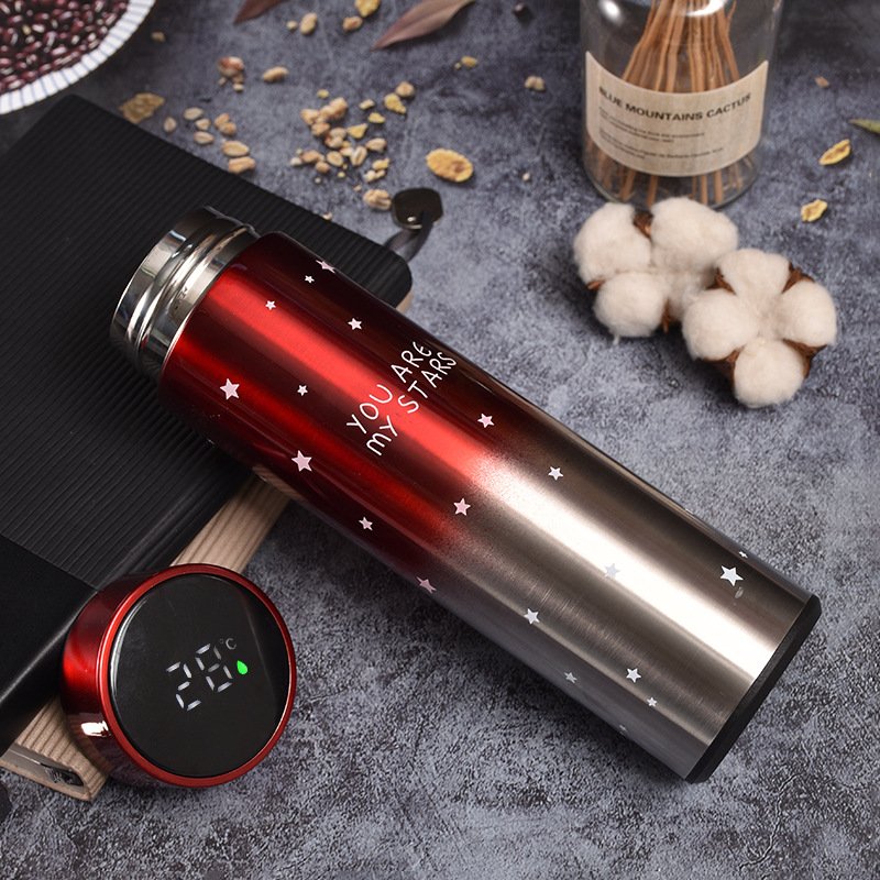Metal Intelligent Termos 500ml 17oz Stainless Steel Smart Thermos Led Water Bottles Coffee Mugs Tumbler Cups Display Lid