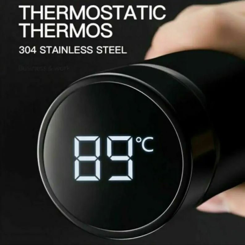 OEM 500ml TEA CUP Insulated Stainless Steel Water Bottle With Filter Vacuum Flasks & Thermoses Cups Termos with led touch screen
