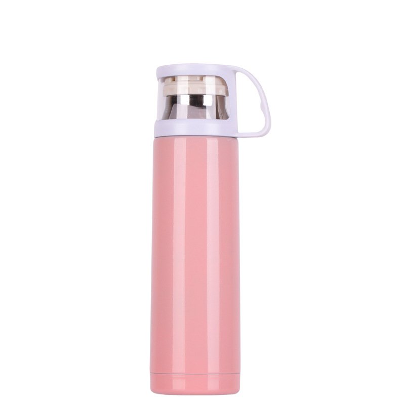 Custom Logo BPA Free Eco Friendly 500ml Portable Double Wall Insulated Stainless Steel Vacuum Flask