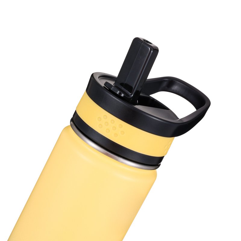 Everich 22oz Insulated Double Wall 304 SUS Straw Lid with Silicone Belt Water Bottle for Outdoor