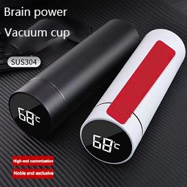 Temperature Display Thermos Stainless Steel Intelligent Water Bottle 500ml Smart Digital Thermos