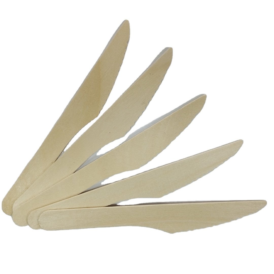 Disposable Natural biodegradable bulk birch wood spoon/forks/knives wooden cutlery utensil set wood tableware wooden knife