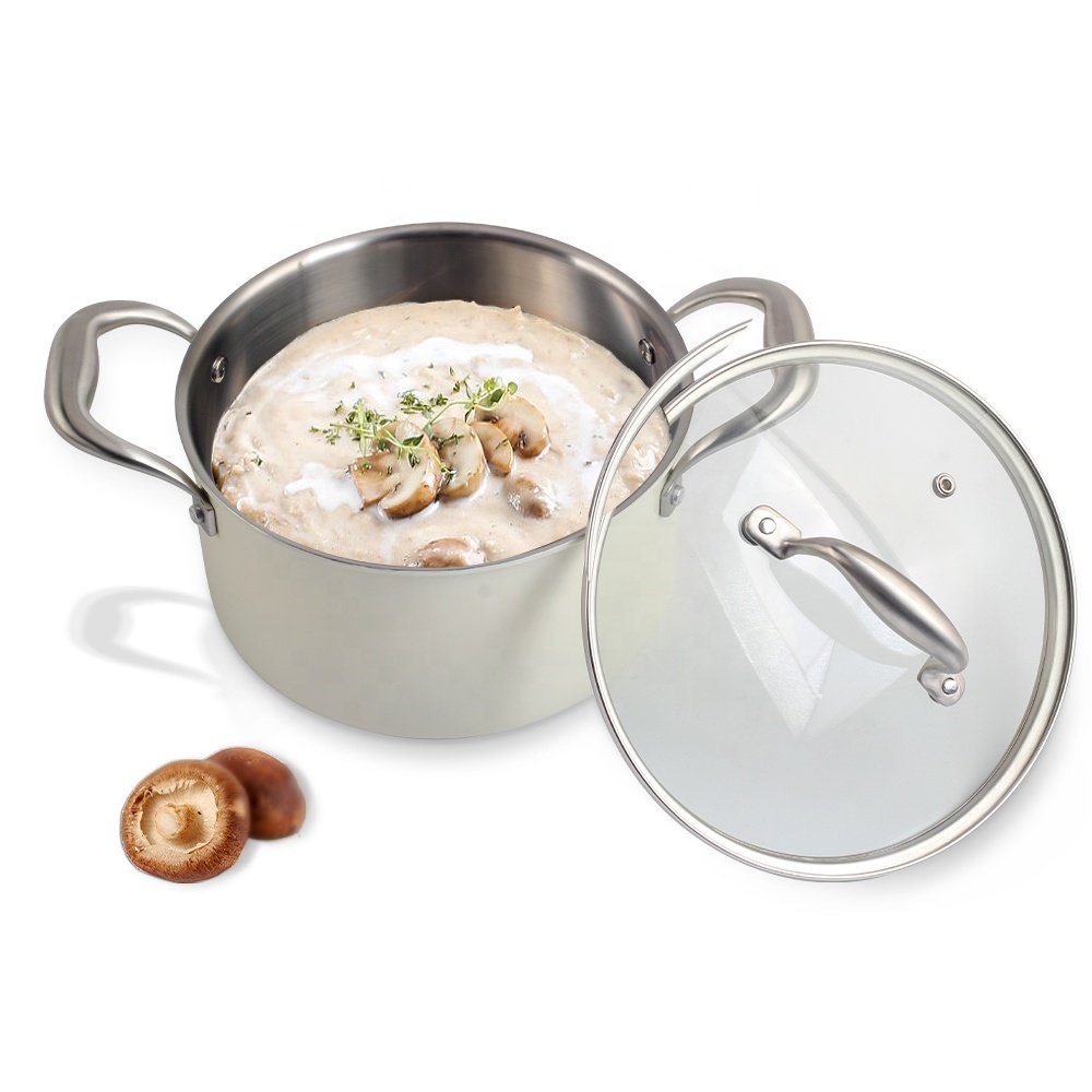 10 Piece Stainless Steel Pot and Pan Set - 3 Ply Clad - Professional Stainless Steel Cookware Set