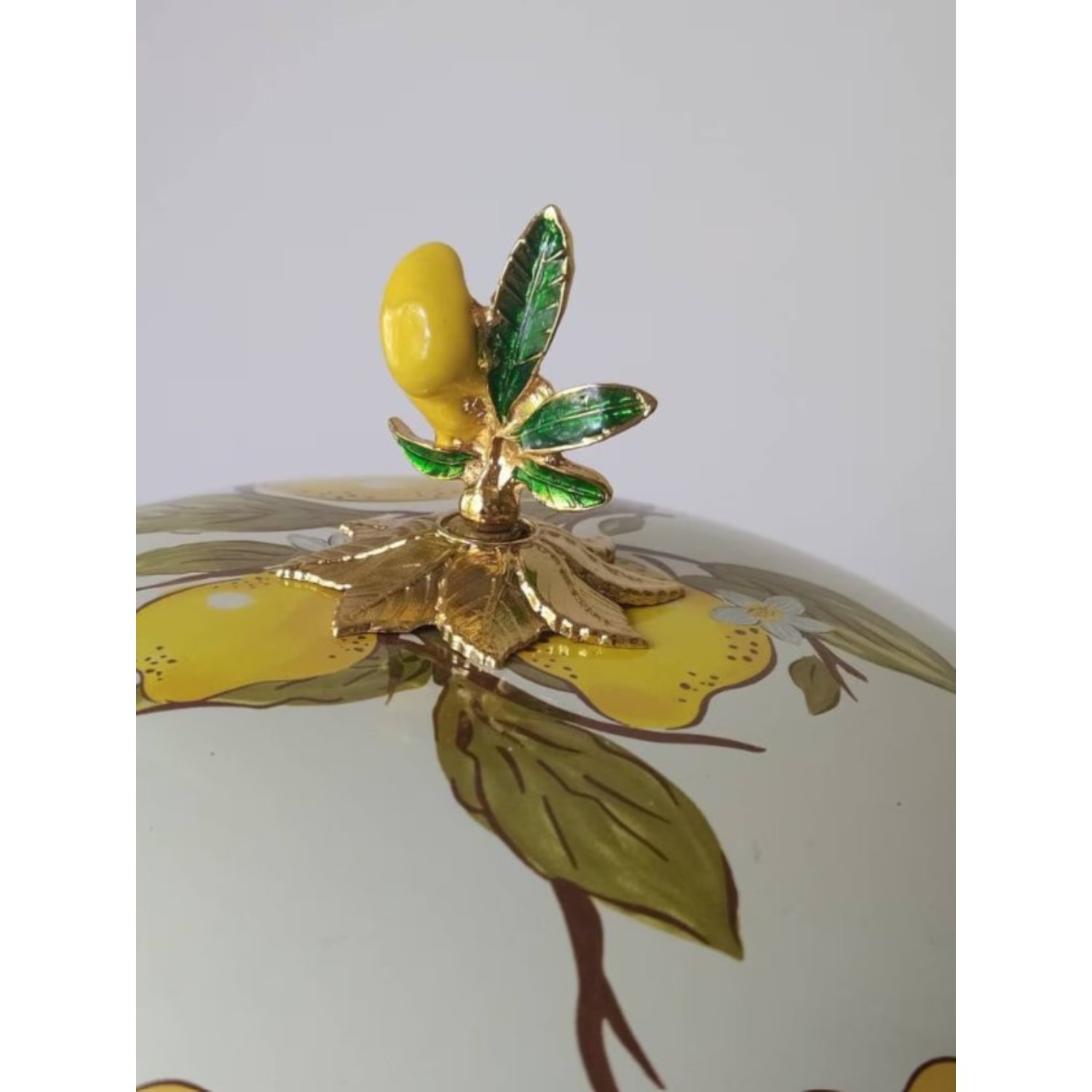 Round Shape Casserole Dish With Lid And Handle For Serve Ware Hotel Ware And Restaurant Tabletop Enameled Design Cook Ware