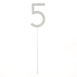 silver-5