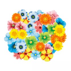 80pcs