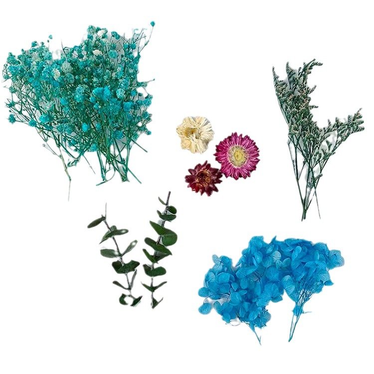 Hot Sale Dry Flower Bag Floral Cakes Decorating Plants Eternal Dry Plants Natural Flower Bakery Supplies
