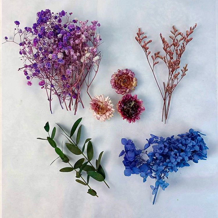 Hot Sale Dry Flower Bag Floral Cakes Decorating Plants Eternal Dry Plants Natural Flower Bakery Supplies