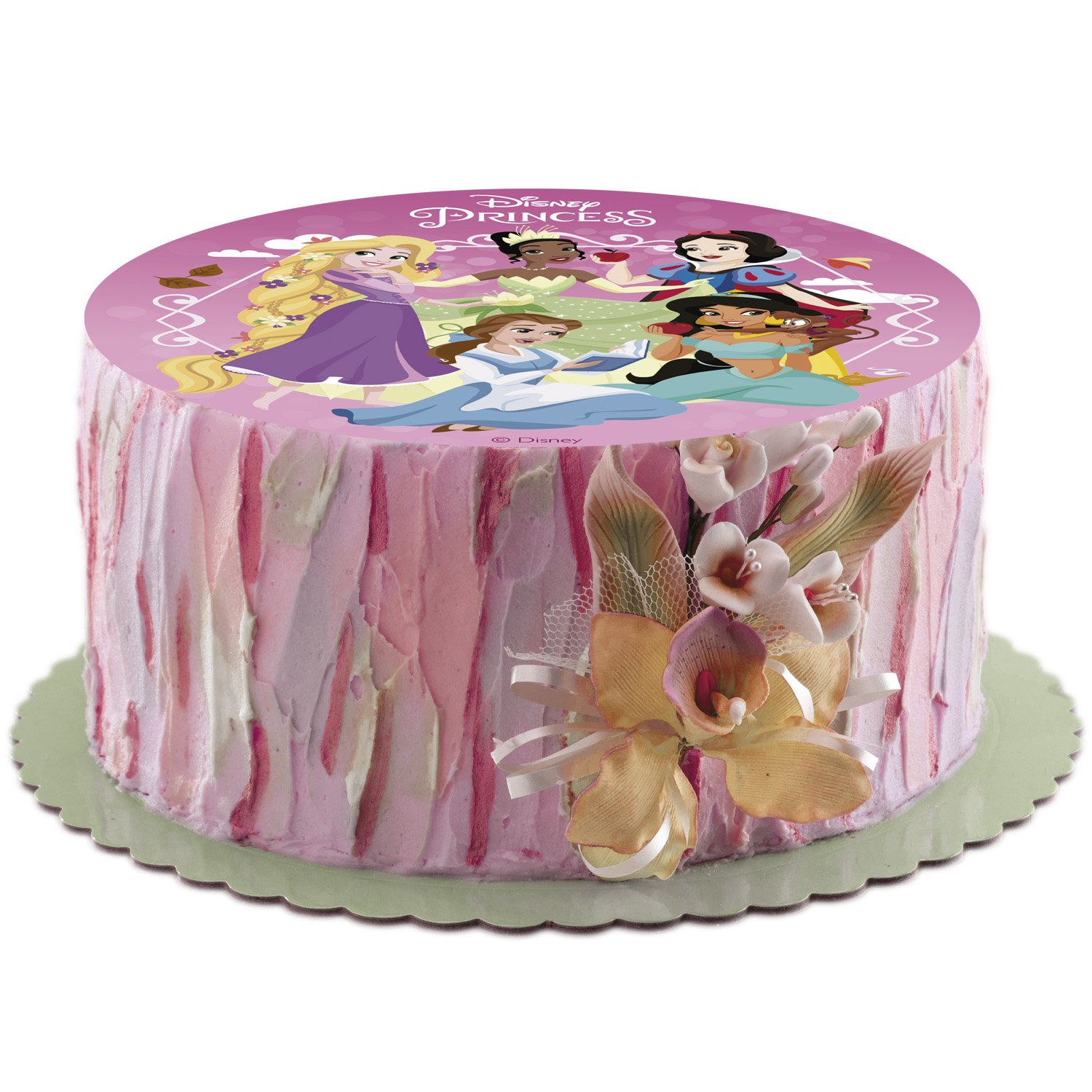 Dekora Brand Box Of 10 Edible Discs For Decorating Cakes With For Princess Design Dia 15.5cm