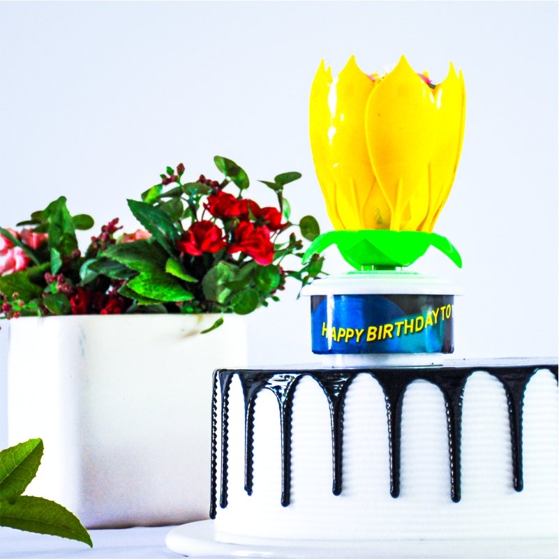 Creative Lotus Music Birthday Cake Spinning Candle OEM Children Birthday Party Spinning Lotus Candle Custom Decoration Supplies