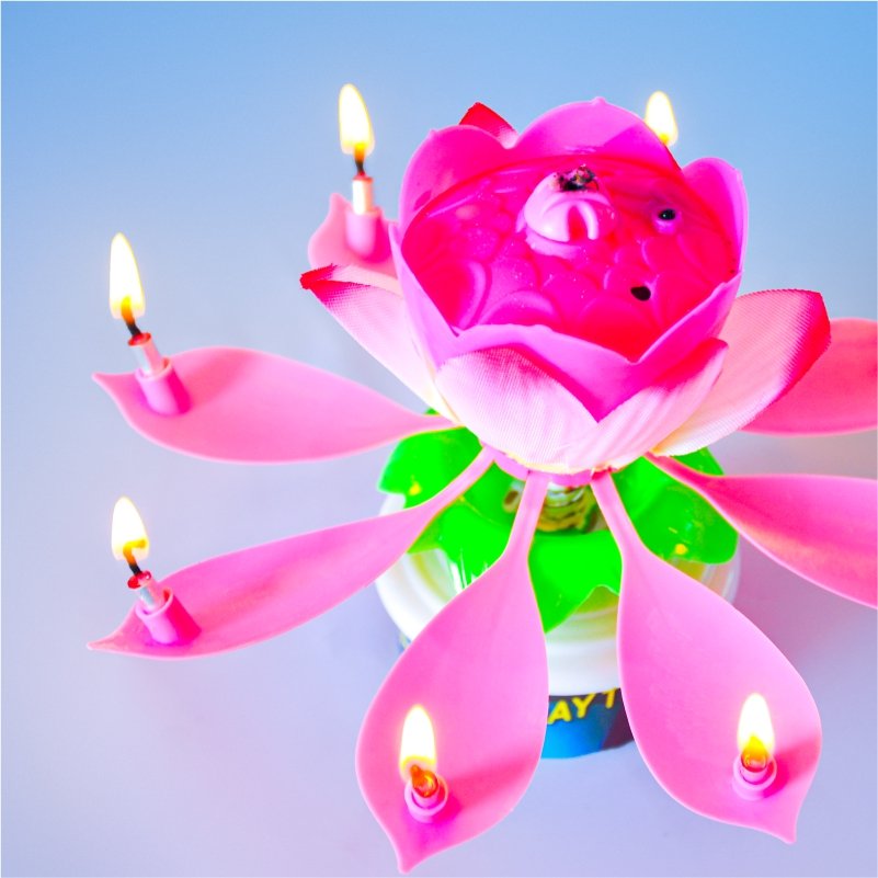 Creative Lotus Music Birthday Cake Spinning Candle OEM Children Birthday Party Spinning Lotus Candle Custom Decoration Supplies