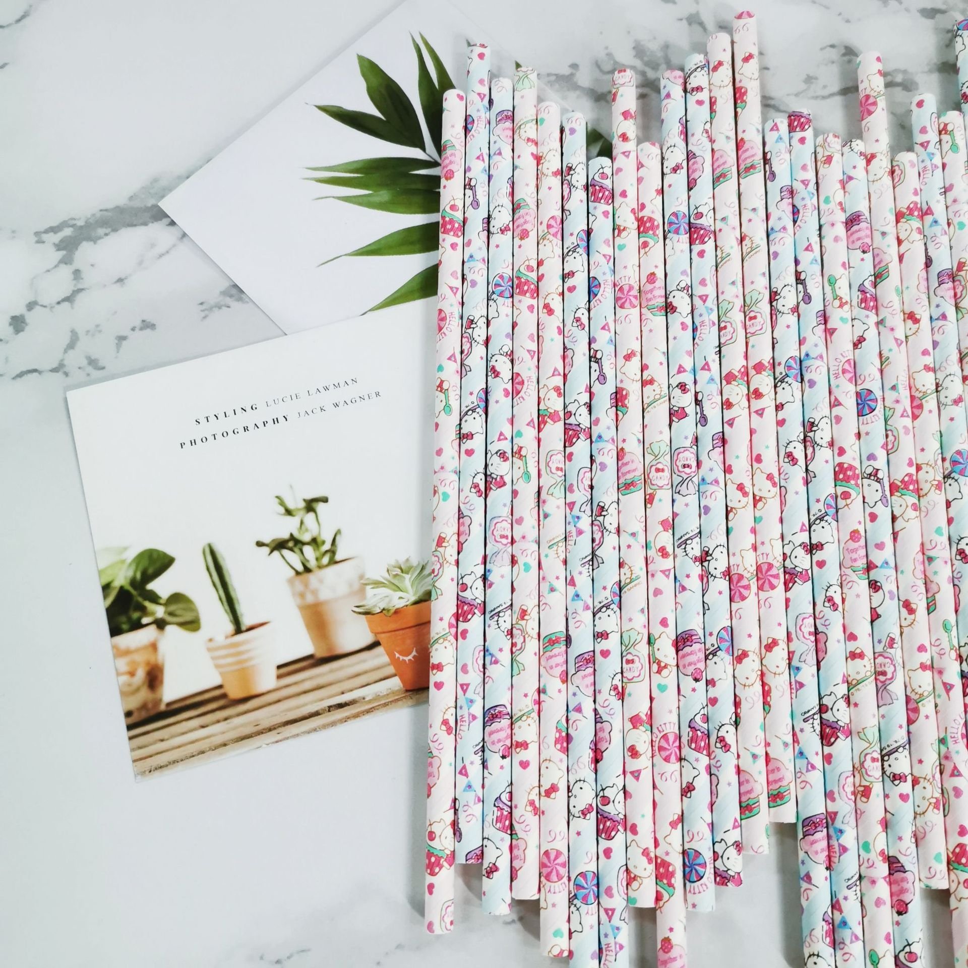 Maochun Birthday Party Cute Pattern Colorful 6mm Paper Straws, Disposable Cake Decoration Supplies Beverage Paper Straw