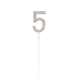 Silver-5