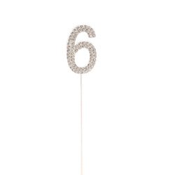 Silver-6