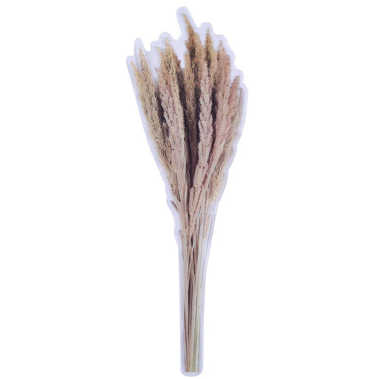 DIY crystal glue mold transparent material flower plant glue filling sticker transparent PET material flower leaf sticker Acces
