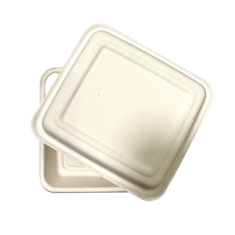 Easy Green Hot Sale Eco-friendly Biodegradable Disposable Bagasse Food Packaging