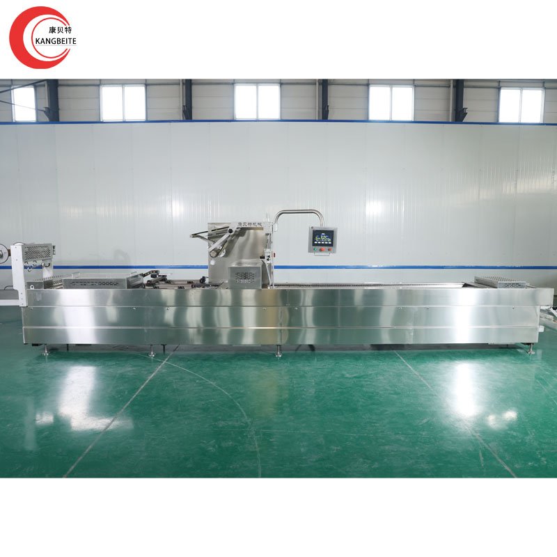 factory customized CE factory manufacturer commercial industrial sealer vacuum packing machine