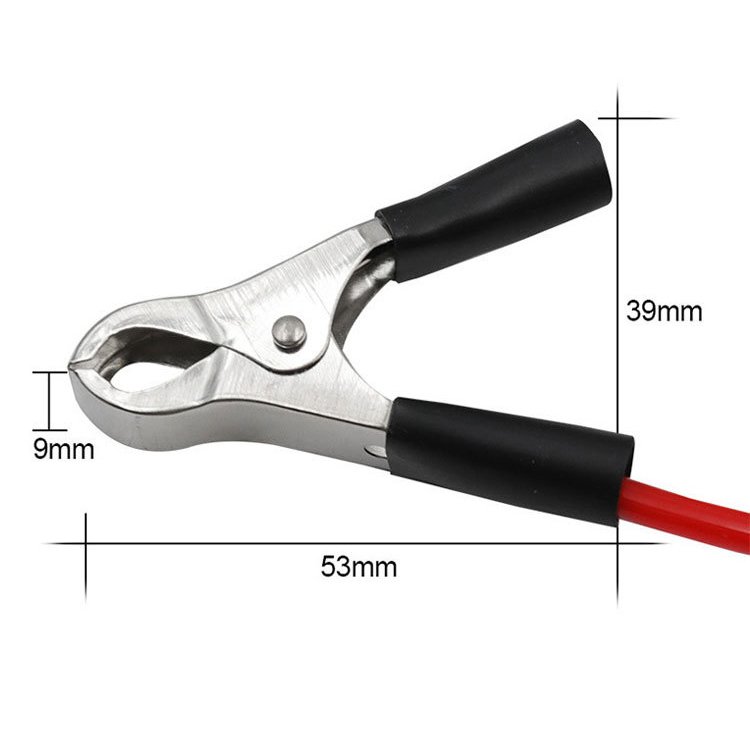 Circuit 6V 12V 24V digital display test pen