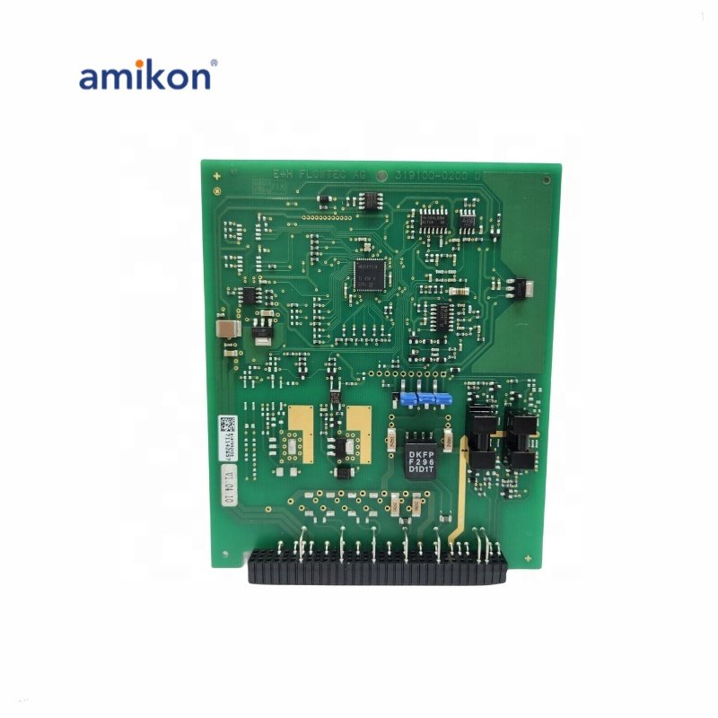 E+H 319100-0200B LOWTEC PCB BOARD for PLC PAC & Dedicated Controllers