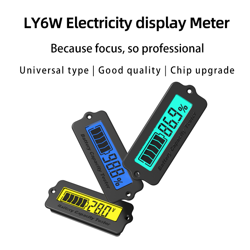 BW-LY6W 12V 24V battery monitor meter battery level indicator battery capacity tester