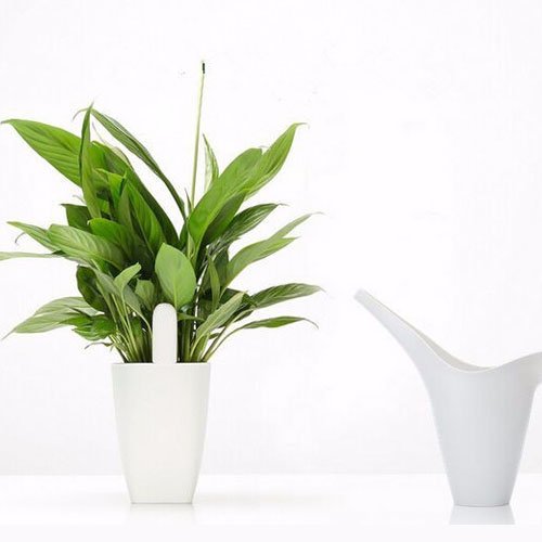 English Version Xiaomi HHCC Smart Plant Monitor Smart Tester Flower Care Soil Moisture PH Sensor