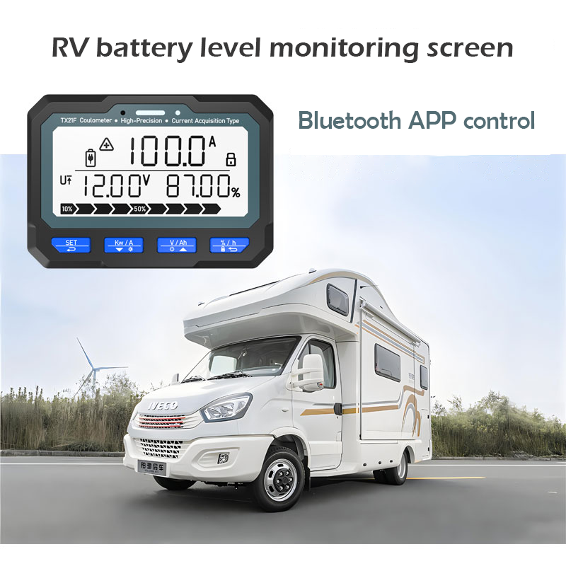 Baiway 8-80V 100A Battery Coulometer Tx21 Professional Battery Tester Monitor Battery Capacity Indicator Display