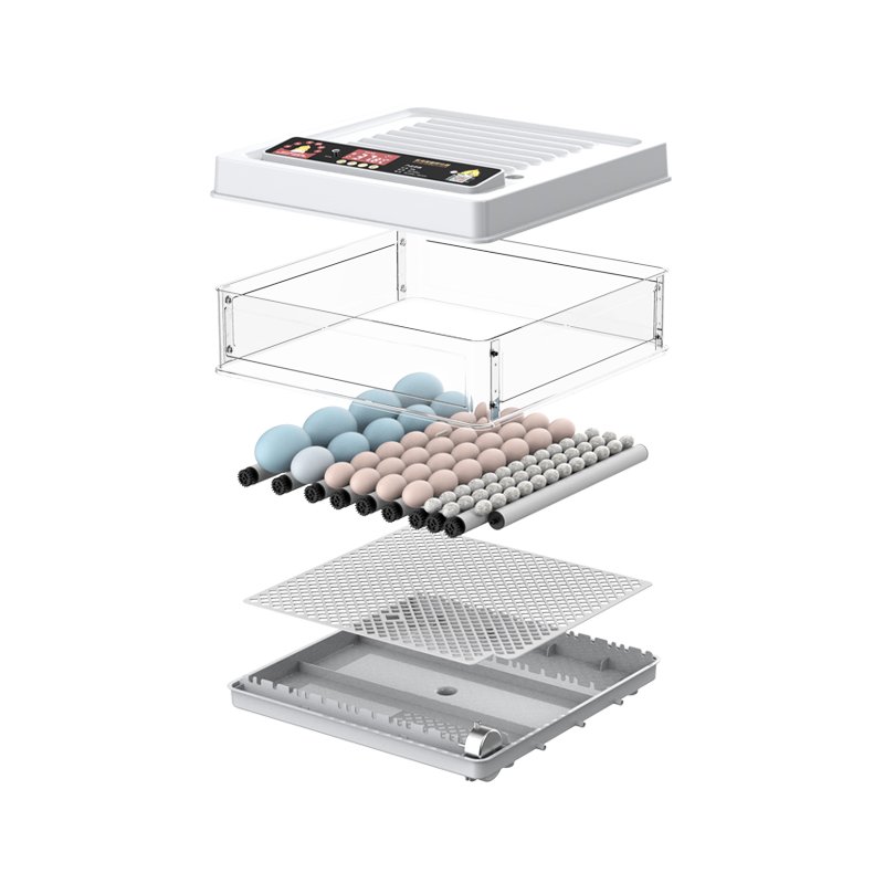 70 Capacity Full Automatic Dual Power 12V Battery Egg Incubator For Sale