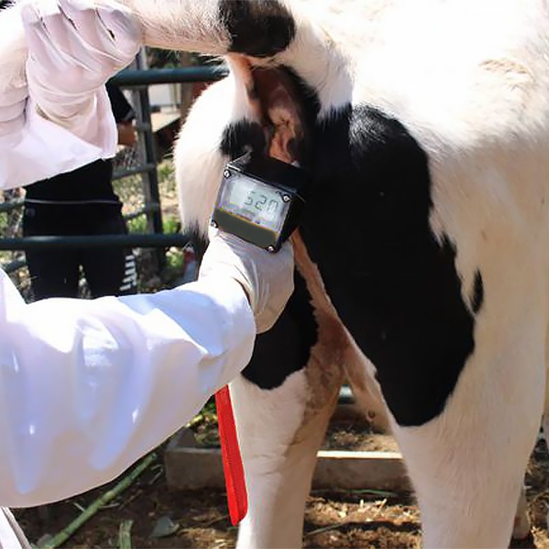 Animal Ovulation Tester Pet Dog Cattle Veterinary Instrument Ovulation Tester Digital Estrous Detector For Cow Horse Pig