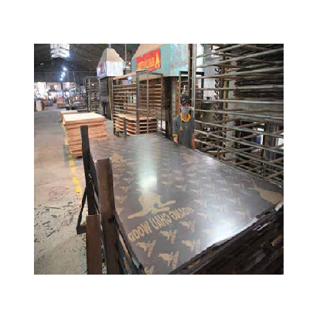 Top High Quality 18mm Industrial Hardwood Birch Waterproof Film Faced Plywood Construction Formwork Competitive Price Decking