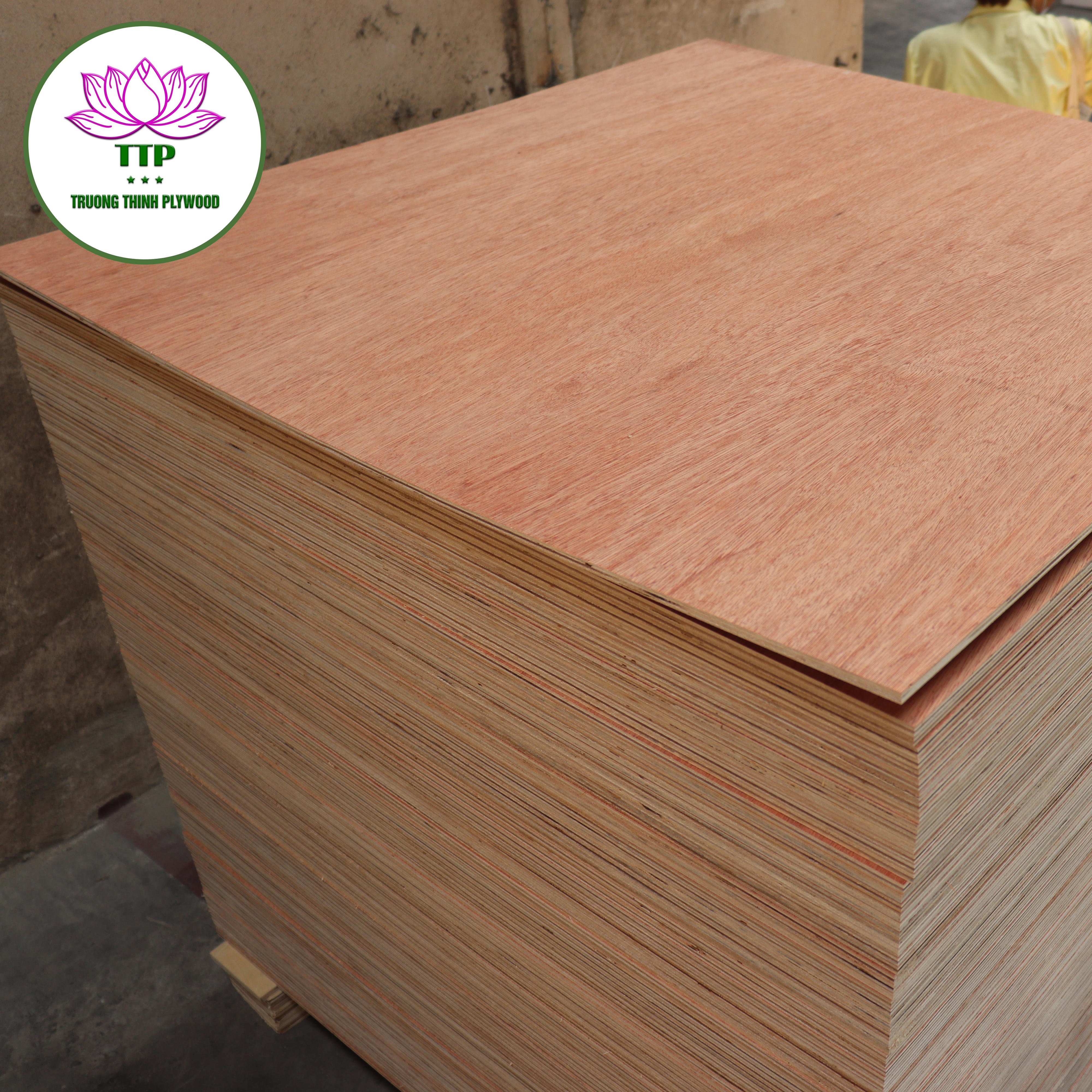 Vietnamese Commercial Plywood 5mm-18mm Pine Acacia for Outdoor Construction Furniture & Sales from Vietnam