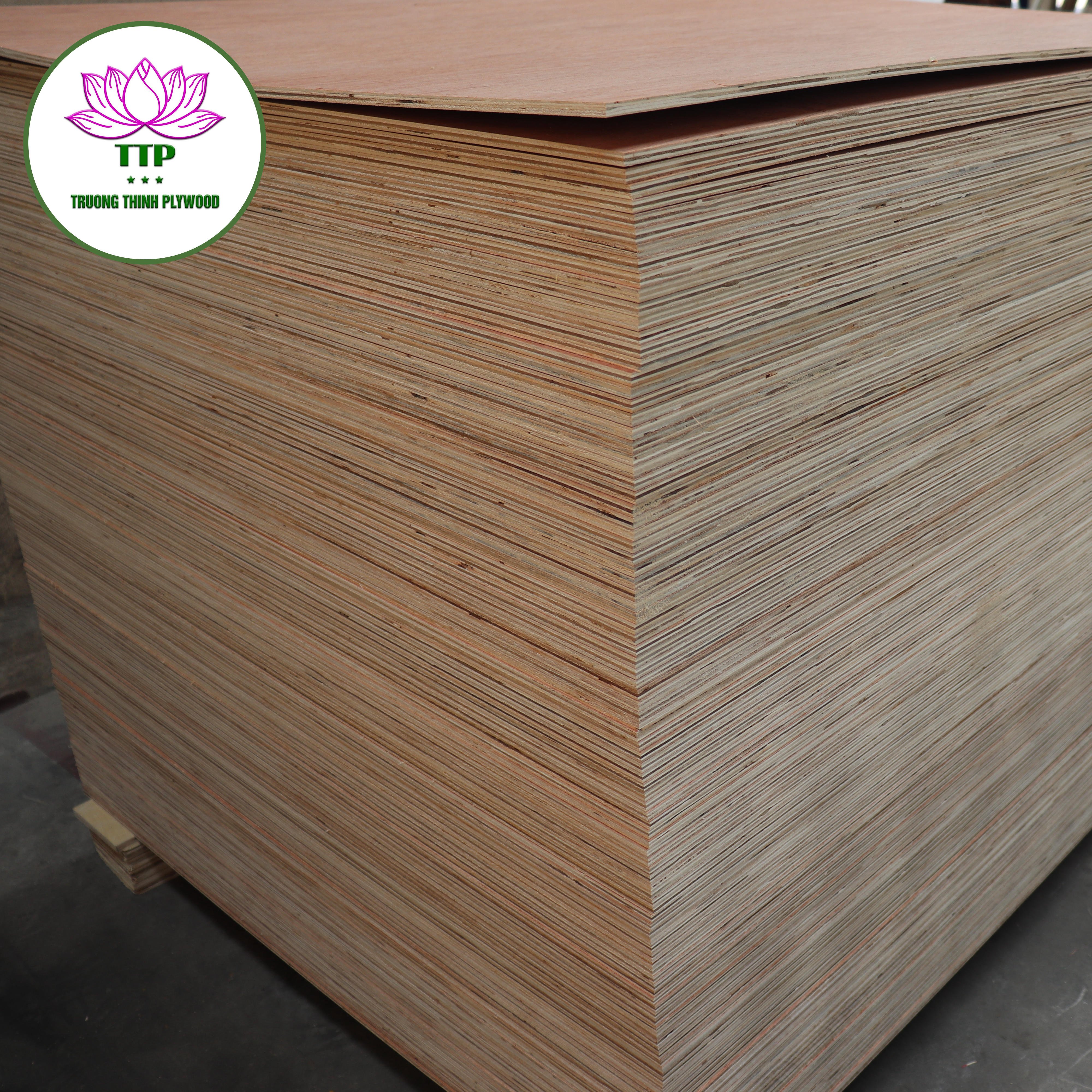 Vietnamese Commercial Plywood 5mm-18mm Pine Acacia for Outdoor Construction Furniture & Sales from Vietnam