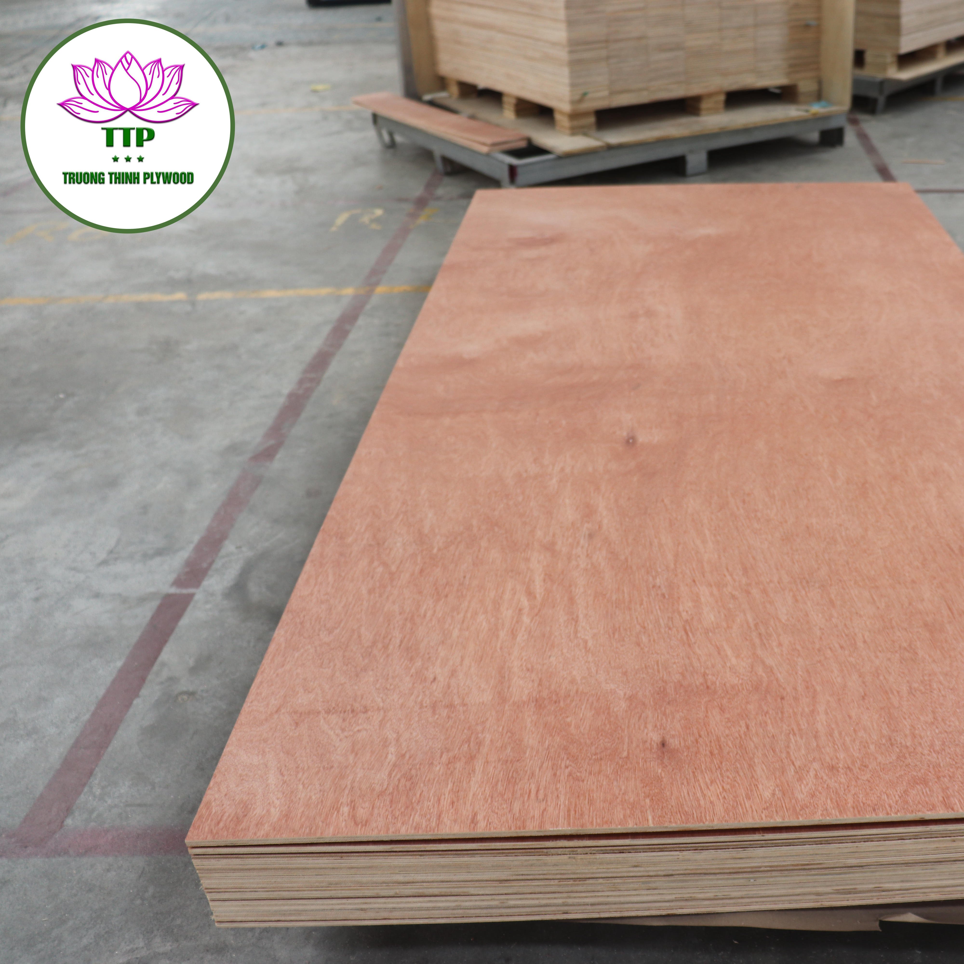 Vietnamese Commercial Plywood 5mm-18mm Pine Acacia for Outdoor Construction Furniture & Sales from Vietnam