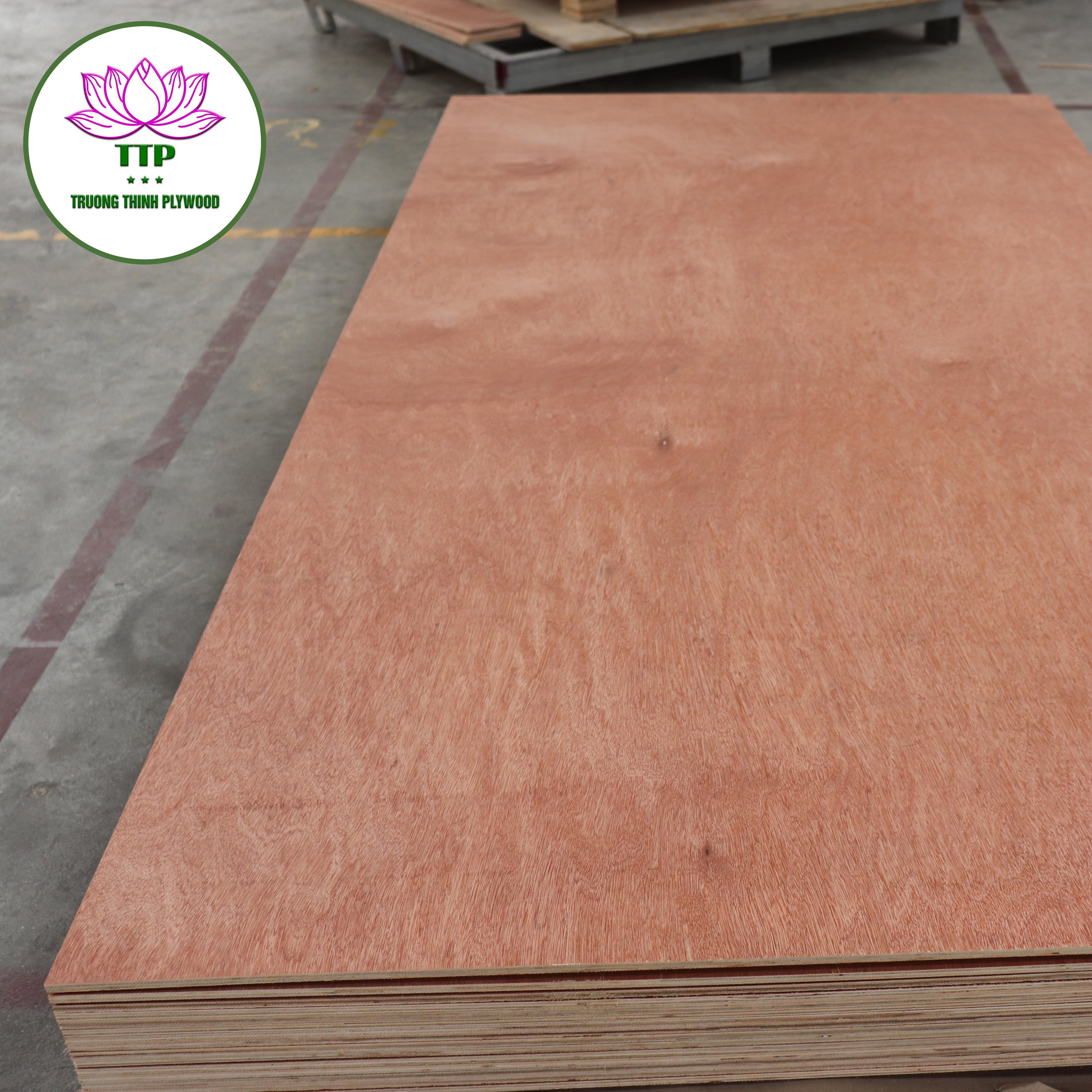 Vietnamese Commercial Plywood 5mm-18mm Pine Acacia for Outdoor Construction Furniture & Sales from Vietnam