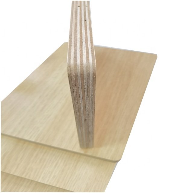 Best Price Modern Style Furniture Plywood Wood Board Panel 18mm Thick Eucalyptus Core Cabinets Decor