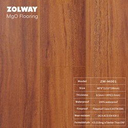 ZW-M001