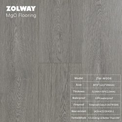 ZW-M004