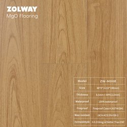 ZW-M008