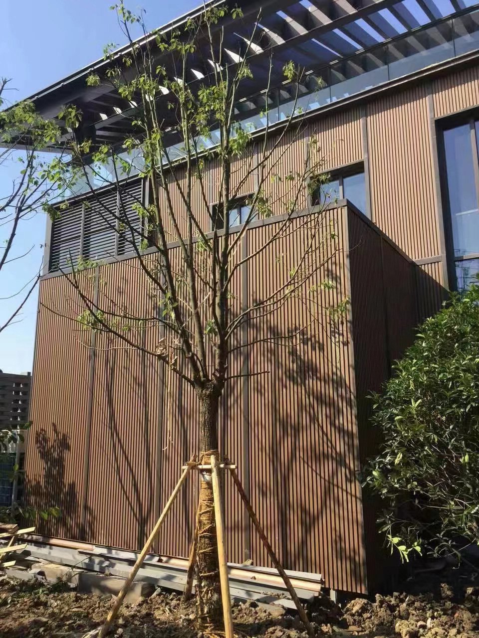 Factory directly supplied outdoor wood functional plastic composite board 3D external WPC wallboard