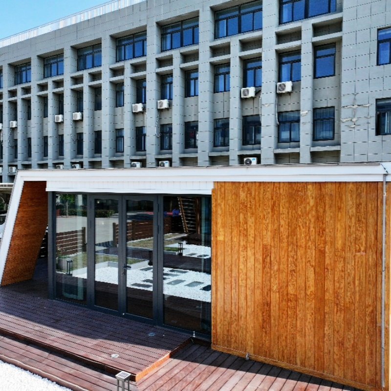 Outdoor waterproof wood plastic composite co-extruded wall board modern design anti-corrosion decorative hanging board