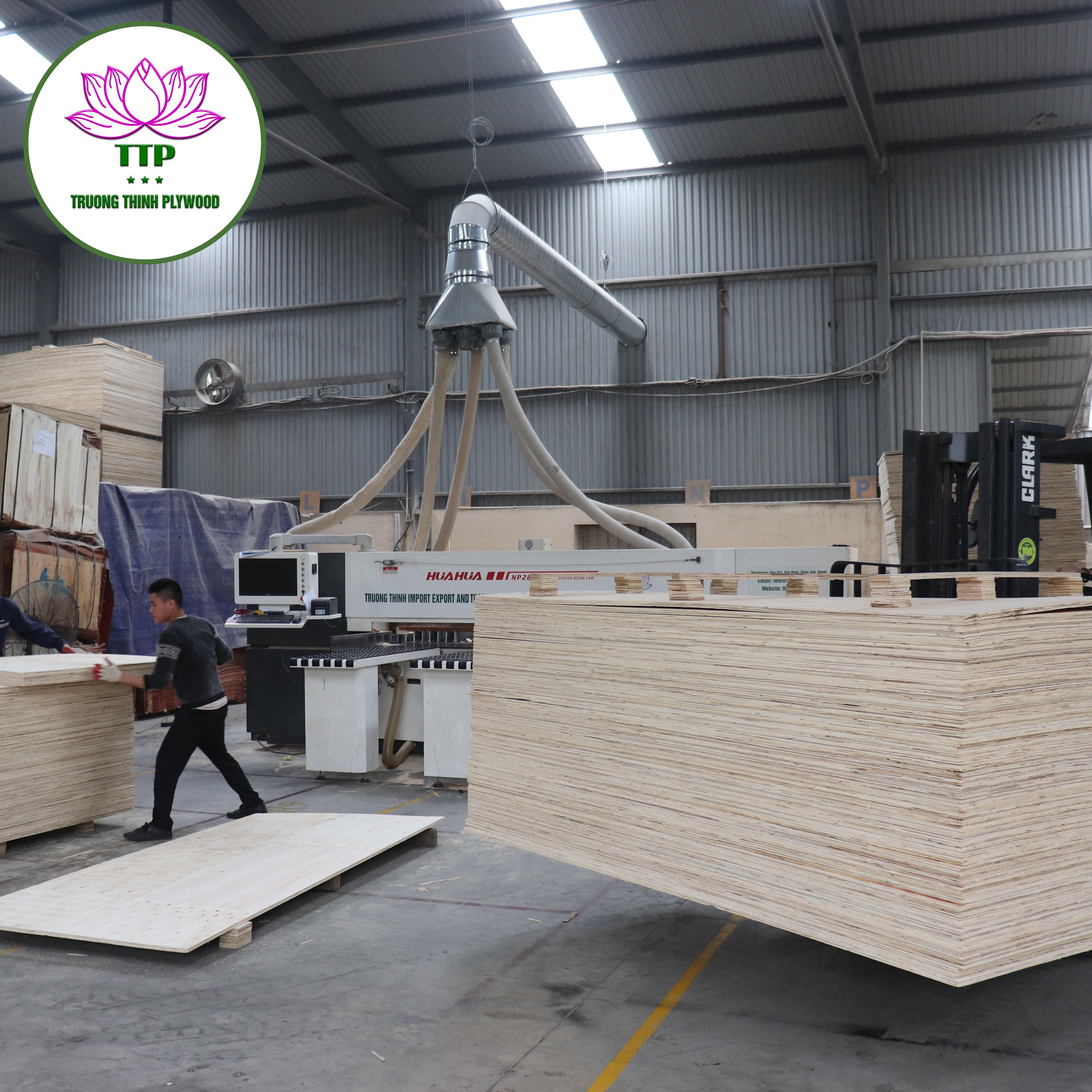 Q HOT DEAL Acacia Laminated Veneer LVL Pine Poplar Core for Pallet Construction Packaging Box Door Frame Bed Slats of Any Size